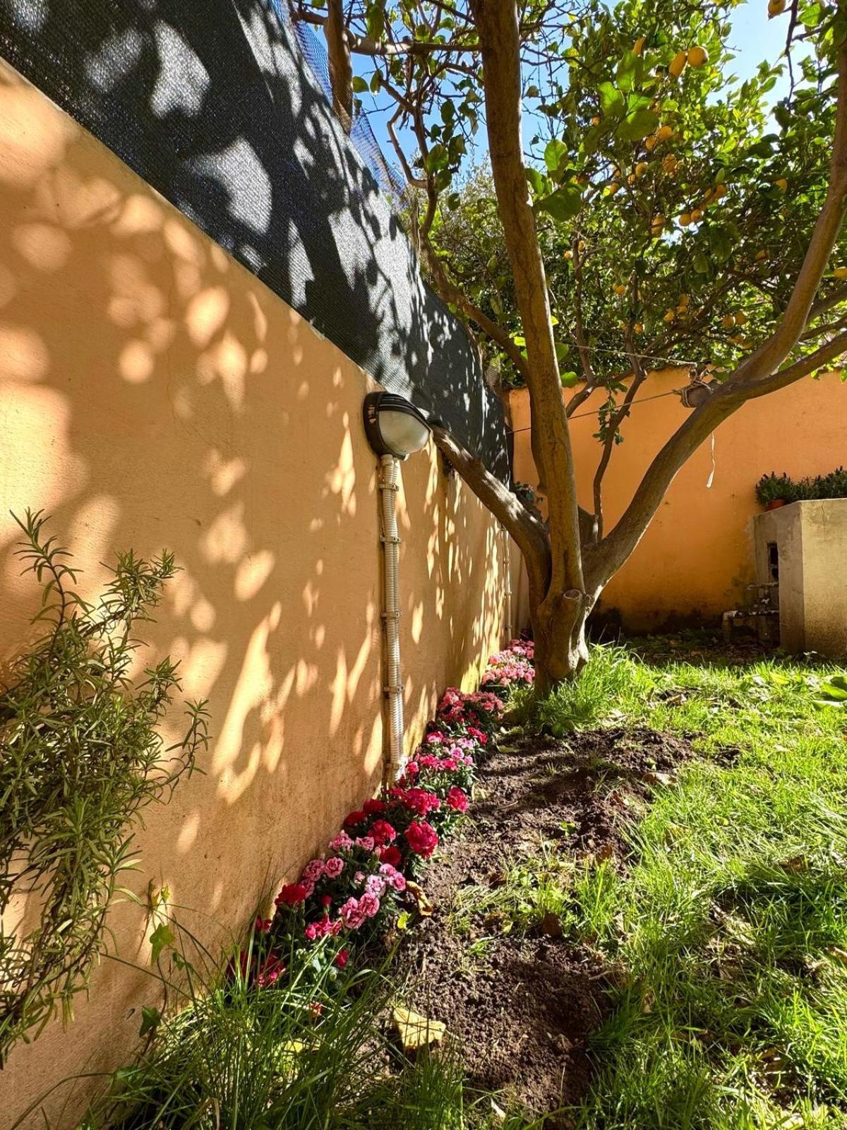 Mareporto House Apartman Fiumicino Kültér fotó